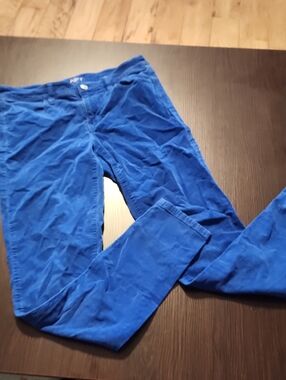 LOFT Electric Blue Women's Jeans